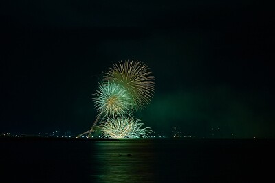 פאזל של Fuegos artificiales cielo nocturno