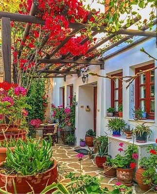 Patio florido jigsaw puzzle