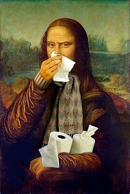 mONAlISA GRIPE