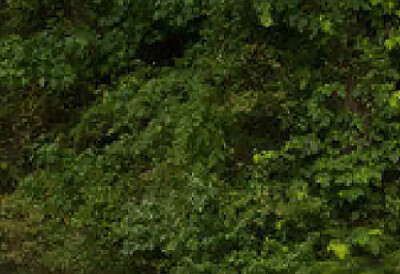 a jigsaw puzzle