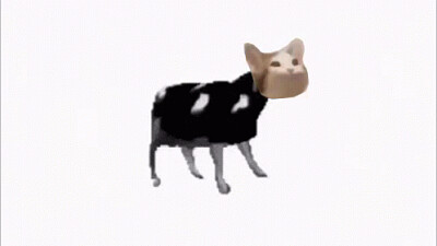 פאזל של Popcat Cow