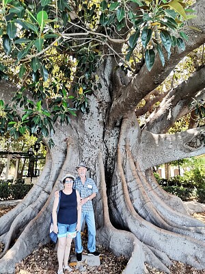 paseo cadiz