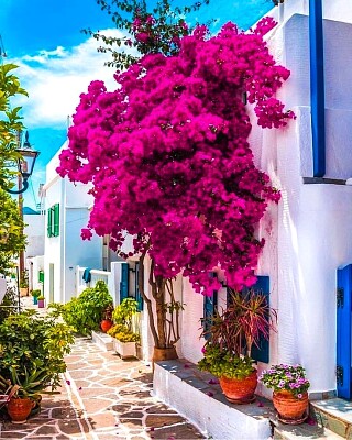 Paros-Grecia