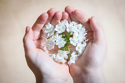a jigsaw puzzle