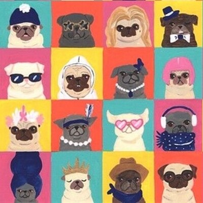 pugs