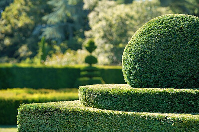a jigsaw puzzle