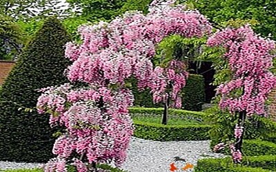a jigsaw puzzle