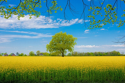 a jigsaw puzzle