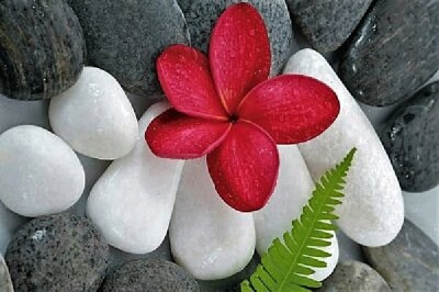 a jigsaw puzzle