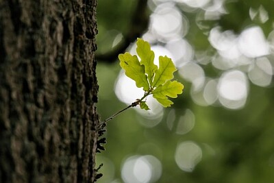 a jigsaw puzzle