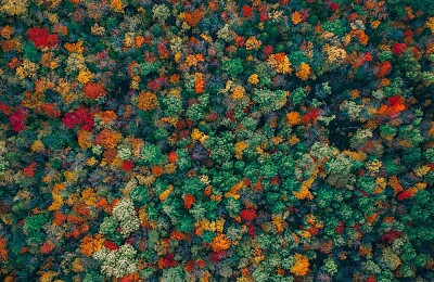 Los colores del otoño