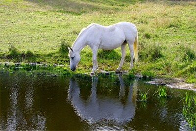 a jigsaw puzzle