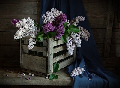 a jigsaw puzzle