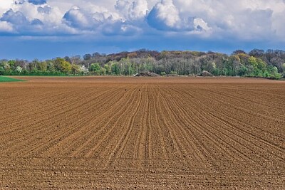 a jigsaw puzzle