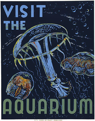 פאזל של Visit The Aquarium