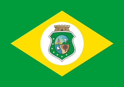 bandeira jigsaw puzzle