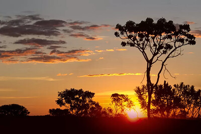 PrqMunicipalCerrado jigsaw puzzle