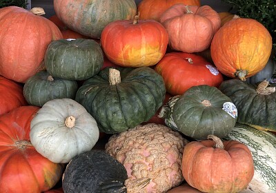 Autumn pumpkins piled high