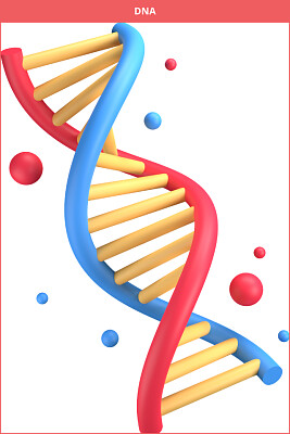 פאזל של O DNA armazena informações genéticas.