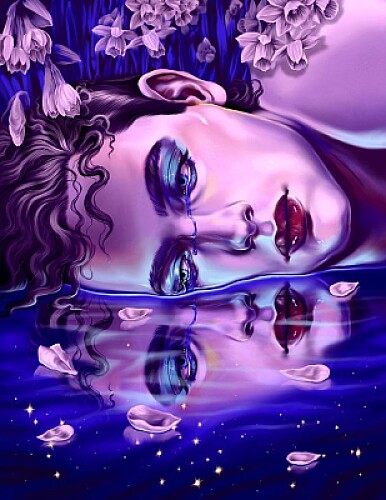 Narcissus