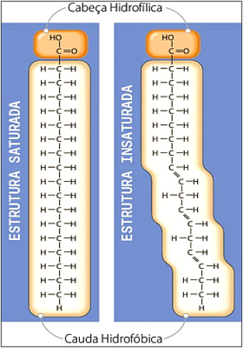 moléculas químicas