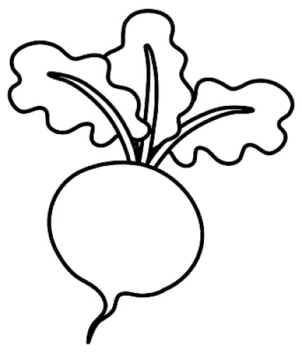 rabanete