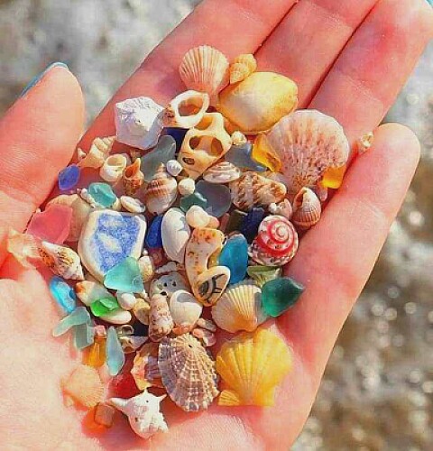 naturaleza
