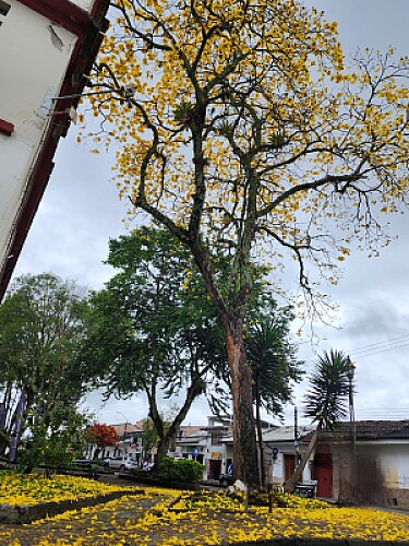 Simplemente hermosos!