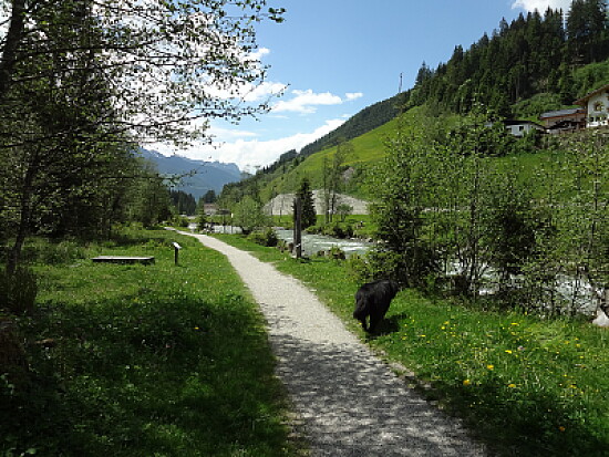 Zillertal Österreich
