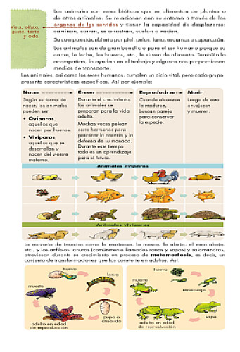 TODOS TENEMOS UN CICLO