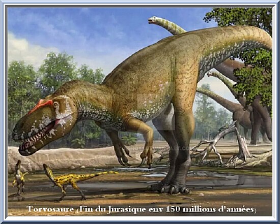 Torvosaurus (fin du Jurasique)