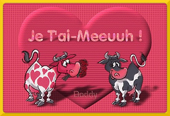 Je t 'ai meeuuh