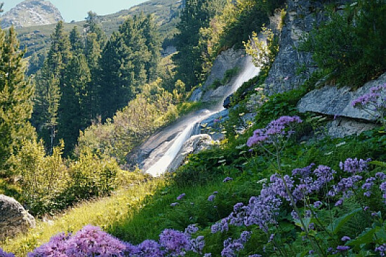 Nature