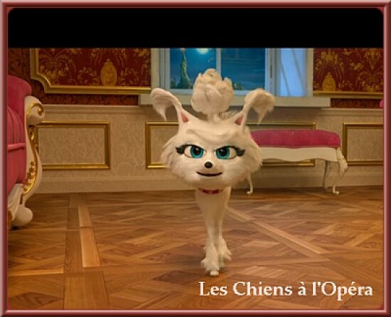 Les Chiens à l 'Opéra