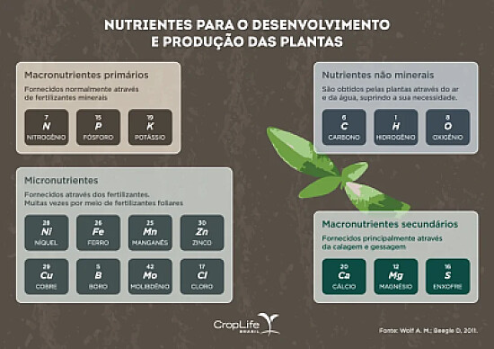 nUTRIENTES