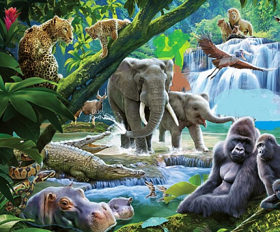 jungle
