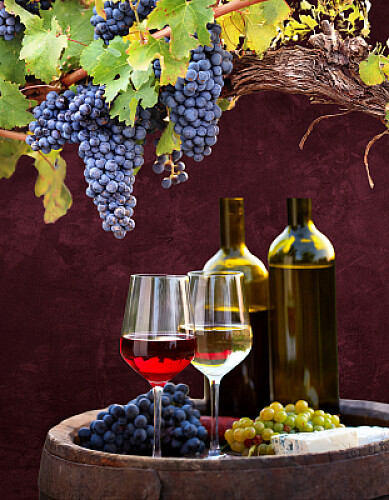 Wines