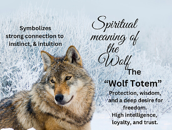 Wolf