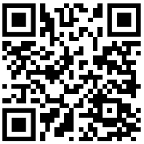 QR Puzzle