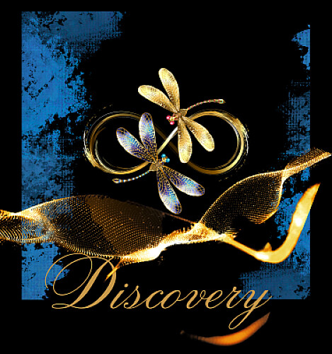 Discovery
