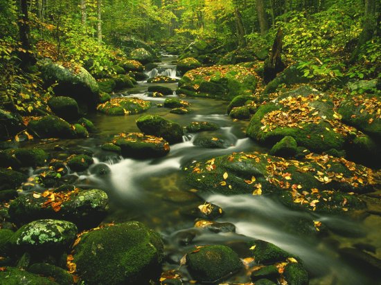 rio hermoso en primavera