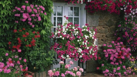 Entrada con flores
