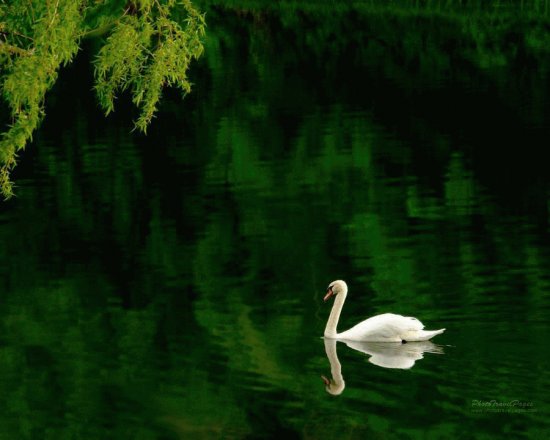 Lago Verde