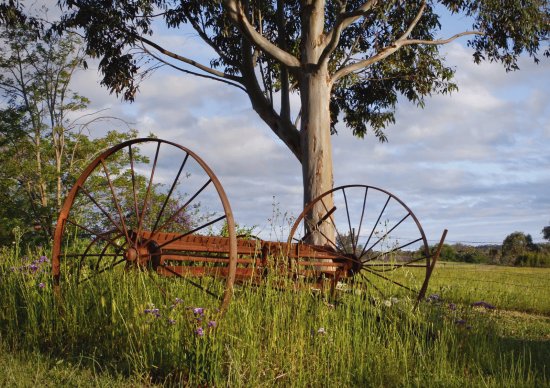 country life