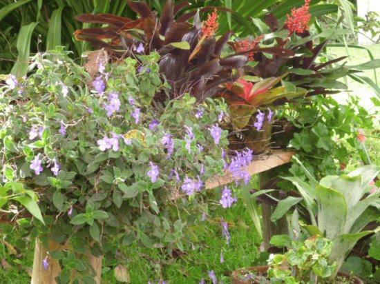 Jardin 22