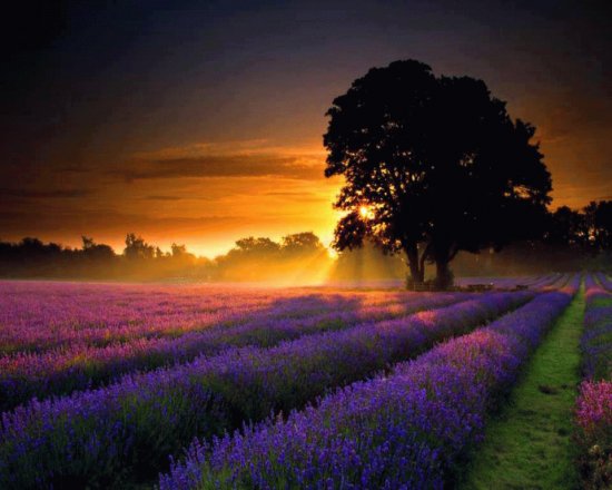 paisagem