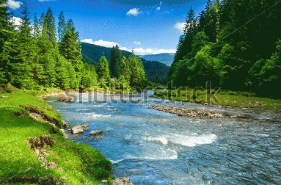 Landscape With River