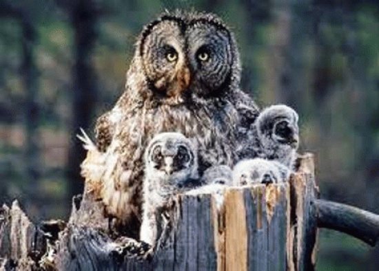 mom#102