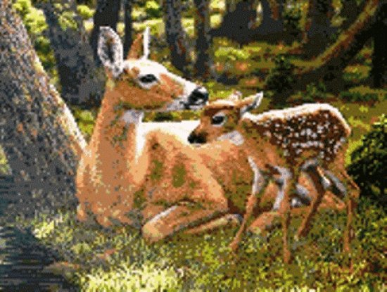 mom#103