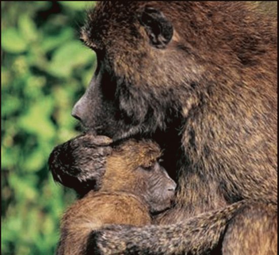 mom#107